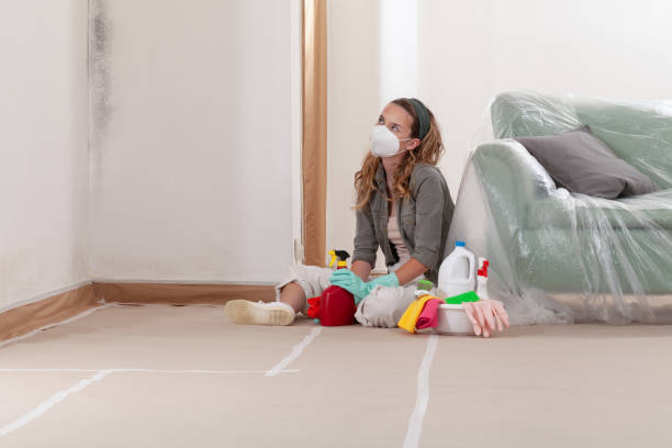 Reliable Mold Remediation contractor in Lakehurst, NJ by Car Mold Remediation